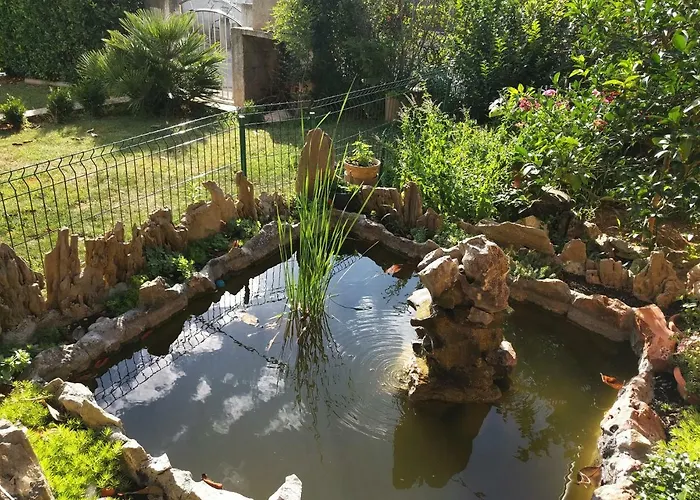 דירה Local Lifestyle *